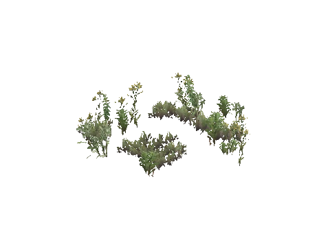 prop_weeds_nxg06
