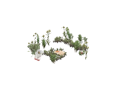 prop_weeds_nxg06b