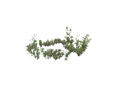 prop_weeds_nxg07b001