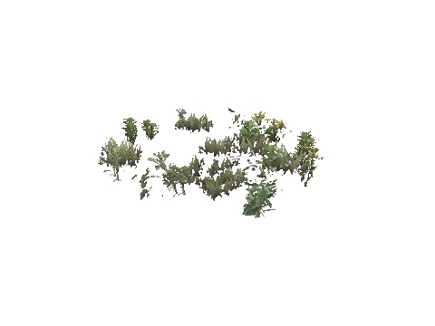 prop_weeds_nxg08