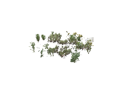 prop_weeds_nxg08b
