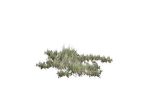 prop_weeds_nxg09