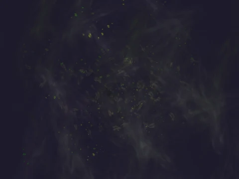 des_french_doors, a GTA V particle dictionary