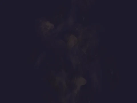 des_methtrailer, a GTA V particle dictionary