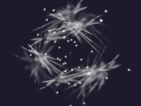 scr_hr_lny_races, a GTA V particle dictionary
