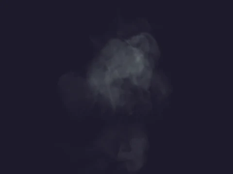scr_sv_rob_pol, a GTA V particle dictionary