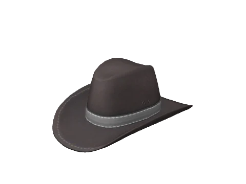 reh_prop_reh_hat_cowboy_01a