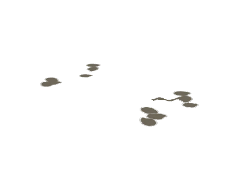sc1_00g_b01_puddle, a GTA V map model