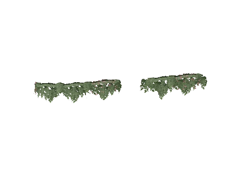 sc1_00g_ivy01, a GTA V map model