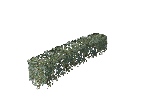 sc1_33_hedge02, a GTA V map model