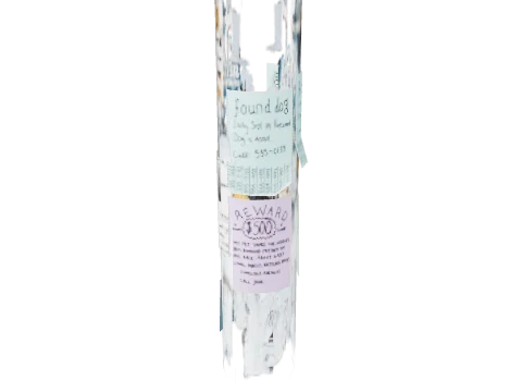 sc1_props_flyers39, a GTA V map model