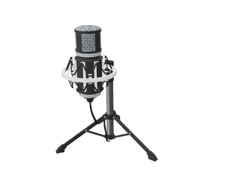 sf_prop_sf_mic_rec_02a