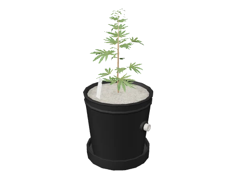 sf_prop_sf_weed_01_small_01a