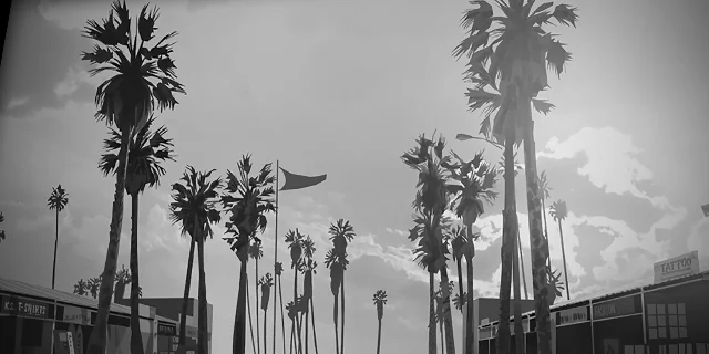 HeistCelebPassBW, a GTA V screen effect