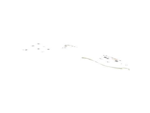 sm_22_splats_01, a GTA V map model