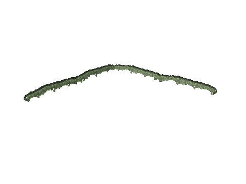 ss1_13_ivy_b_dec002, a GTA V map model