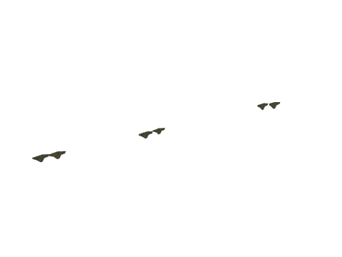 ss1_14_ivy001_lod, a GTA V map model