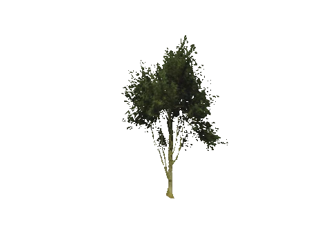 ss1_props_combo0506_08_lod, a GTA V map model