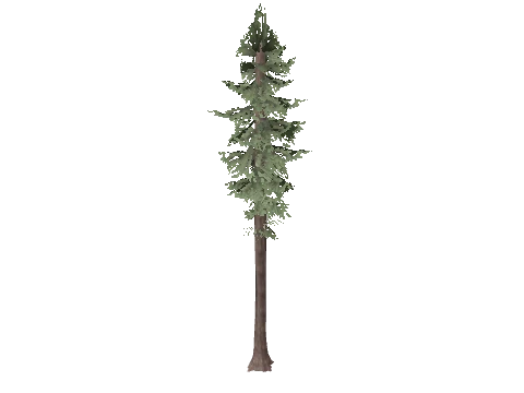 test_tree_forest_trunk_01, a GTA V map model