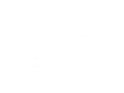 tr_int2_start_spot, a GTA V map model