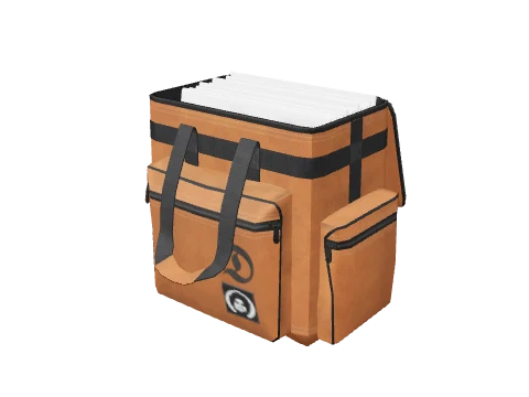 tr_prop_tr_bag_djlp_01a