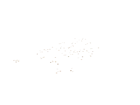 v_11_abbmeatchunks001, a GTA V map model