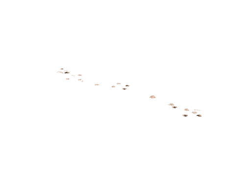 v_11_meatinbetween, a GTA V map model