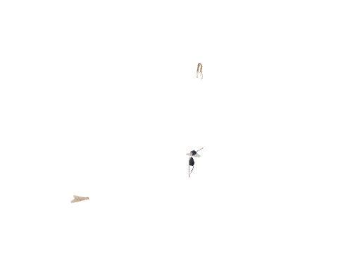 v_16_ap_mid_pants2, a GTA V map model