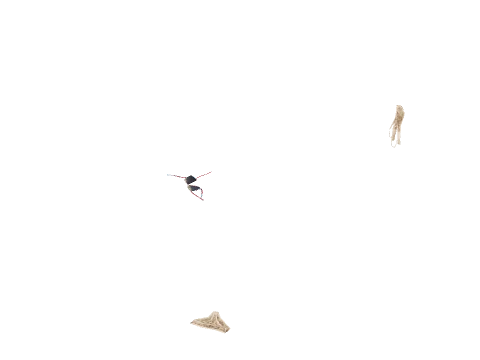 v_16_studio_pants2, a GTA V map model
