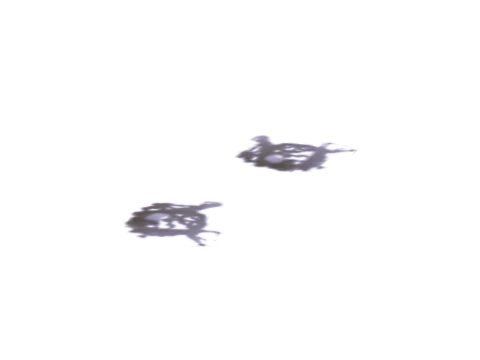 v_34_puddle, a GTA V map model