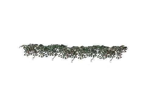 v_48_ivy02, a GTA V map model