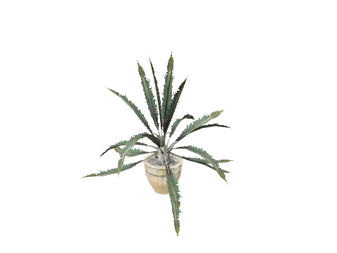 v_48_pot_plant02, a GTA V map model