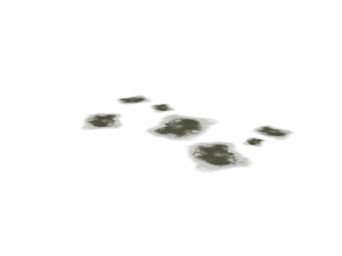 v_55_tor_over_decal_puddles, a GTA V map model