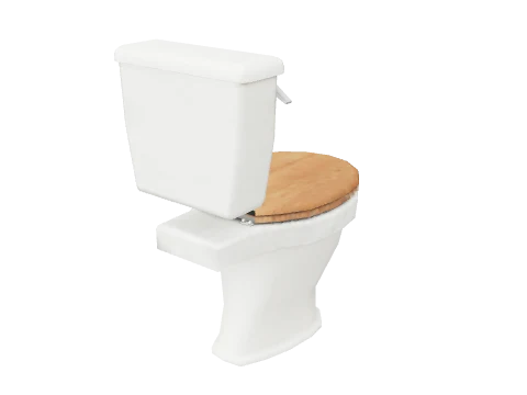 v_61_bth_mesh_toilet_clean, a GTA V map model