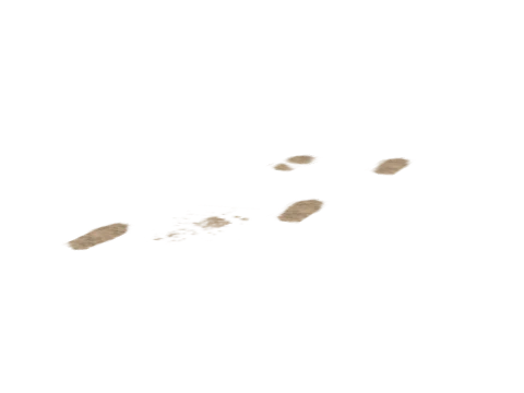 v_61_fnt_mesh_shitmarks, a GTA V map model