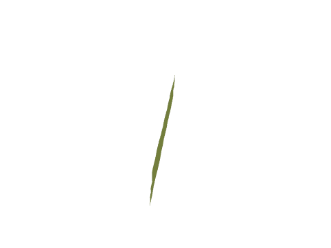 v_7_clothstrip, a GTA V map model