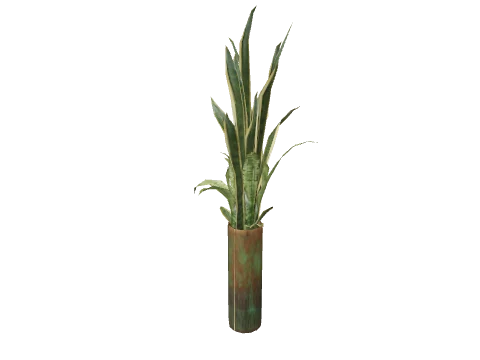 v_med_p_planter