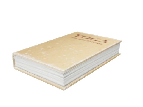 v_res_fa_book01, a GTA V map model