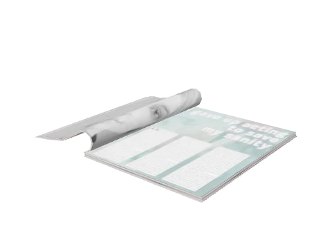 v_res_fashmagopen, a GTA V map model