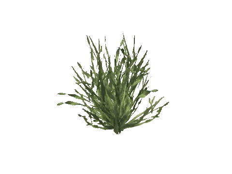 vb_35b_seaweed_long_l, a GTA V map model