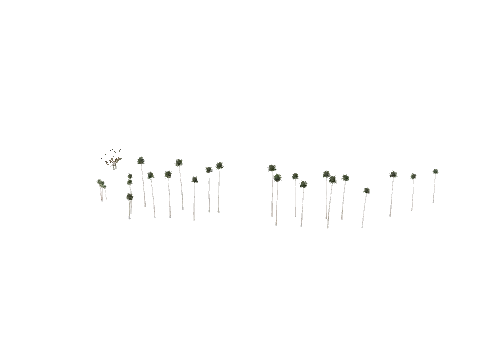 vb_ca_prop_tree_reflprox_0