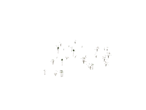 vb_ca_prop_tree_reflprox_1