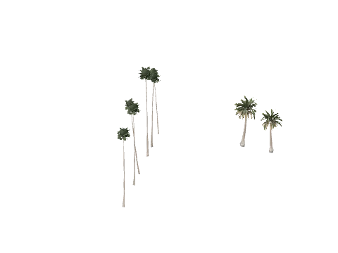vb_ca_prop_tree_reflprox_2