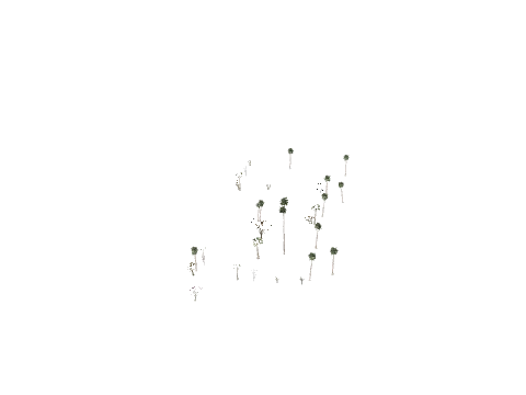 vb_ca_prop_tree_reflprox_4