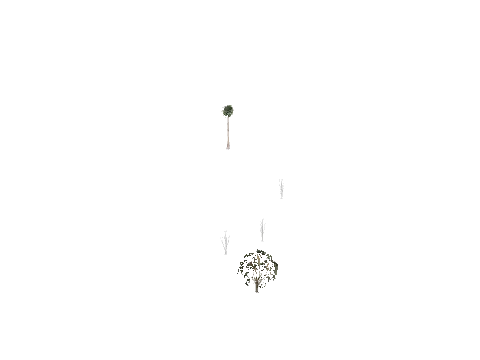 vb_ca_prop_tree_reflprox_5