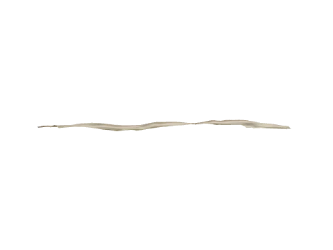 vb_rv_beach_slod, a GTA V map model