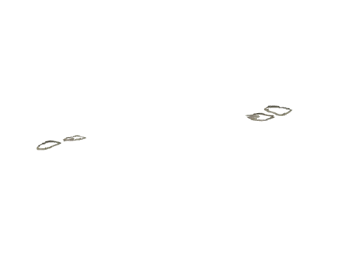 vb_rv_dc_08, a GTA V map model
