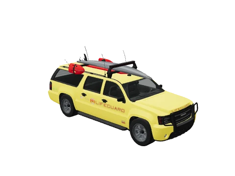 Lifeguard