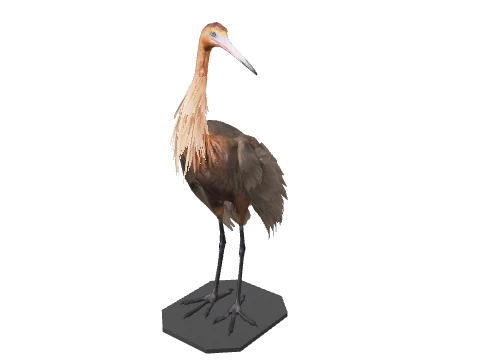 vw_prop_casino_art_bird_01a