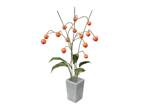 vw_prop_flowers_potted_02a